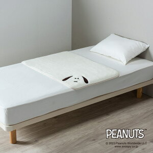  Xk[s[ Ђ| AN ѕz 100×70cm N[F { PN3650 FQ73400008