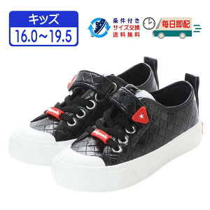 yEAEgbgz LbY JWA Xj[J[ U[^Cv ʃt@Xi[ ^fUC  q ۈ牀 ct wZ j̎q ̎q 16.0 16.5 17.0 17.5 18.0 18.5 19.0 19.5 JW811