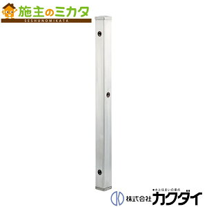 JN_C y624-115z KAKUDAI XeX𒌁iEj//60p K[fjO p