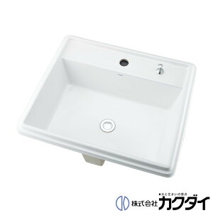 JN_C KAKUDAI[J[̂݁y493-151Hzp^ʊ 1z[EC[