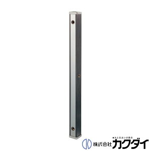 JN_C KAKUDAIy624-173z(EEؖ) 70p