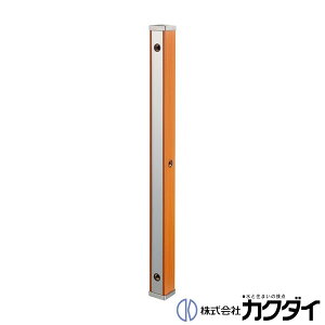 JN_C KAKUDAIy624-174z(EEuEؖ) 70p