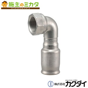 �J�N�_�C KAKUDAI�y648-30-2020�z�����G���{20X20