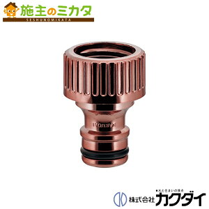 JN_C KAKUDAIy791-710-BRzlW Jbp[uE