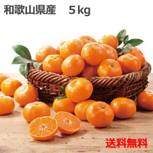 yNzzyʌizyv~A wԏGxi͂zmXI YnnÂăSˁma̎RYn{ɔ a̎R  { Lc݂ ~J 1/5kg(40