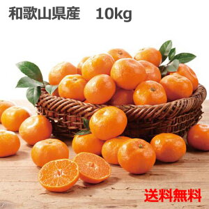 yNzzyʌizyv~A NwԏGxizmXIYnnÂăSˁma̎RYn{ɔa̎R  { Lc ݂ ~J 1^10kg 