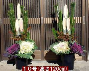y 1 2 2Zbgzy 120cmi10jzyN͂zyIBY VRfގgpz IB̖叼i | ~jj p  葢 N J^ K^ yiꕔ