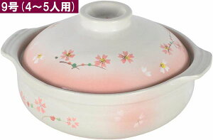 yHiiizy25 zy炳͗l a y 94`5lp   ł  |gt  Ԃ  т鉓ԊO ۉ 