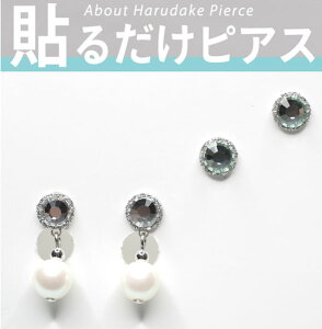 \邾sAX PiPPi \sAX ȒP IV |Cg̃N\CgsAXƃp[sAX2_Zbg