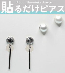 \邾sAX PiPPi \sAX ȒP IV |Cg̃p[sAXƗho[sAX2_Zbg