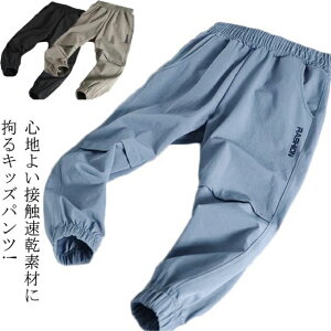 j̎q z q g[jO qp  Xgb` w  Y{ bV qǂ ĕ WK[pc C[W[pc   Opc pc WjA W