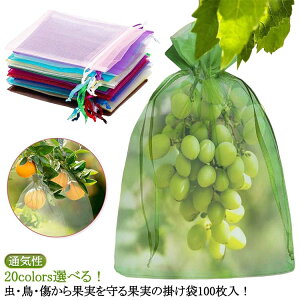 100 20colors Ԃǂ 񂲑 ʕlbg ʎ یlbg h lbg 悯lbg 悯lbg т  Ԃǂ В 悯lbg ʎphlbg ʕیobO ʎ C`