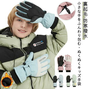 N XL[ h q h 2^Cv O[u j̎q XL[ ʊw ̎q LbY  Xm{ XP[g   V 2^Cv X|[c ~  w WjA