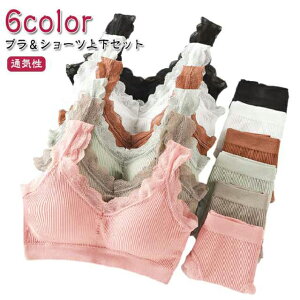 mC[u V[c iCgu ㉺Zbg V[cZbg  Ci[ fB[X u w u Z [X WjA ߕtȂ bNXu u m