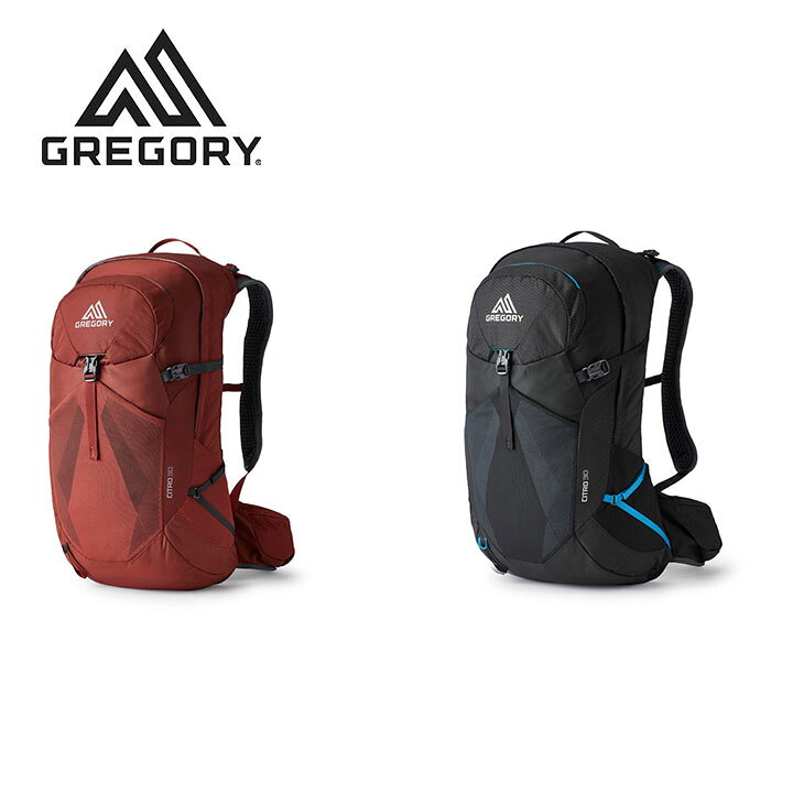 楽天市場】グレゴリー Gregory シトロ30 Citro 30 バックパック 