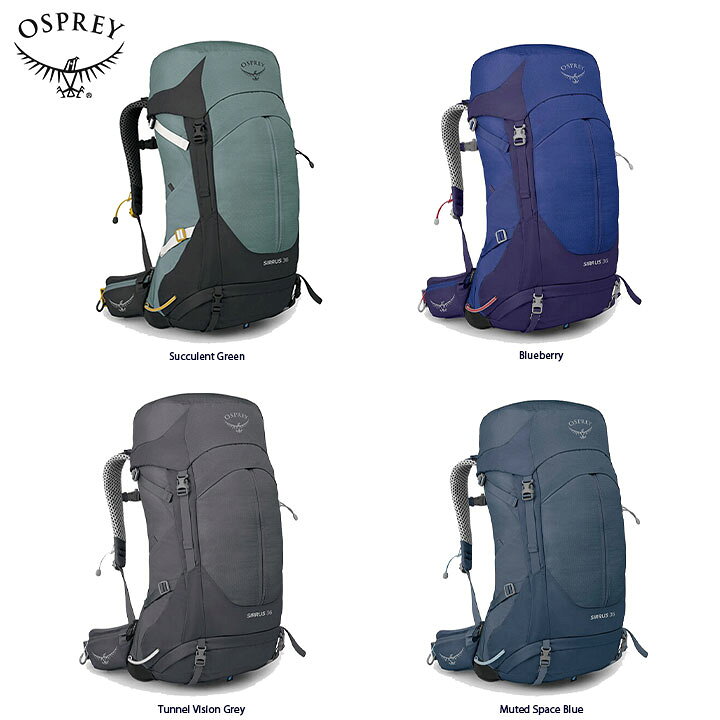 楽天市場】Osprey オスプレー SIRRUS 36 シラス 36 バックパック 