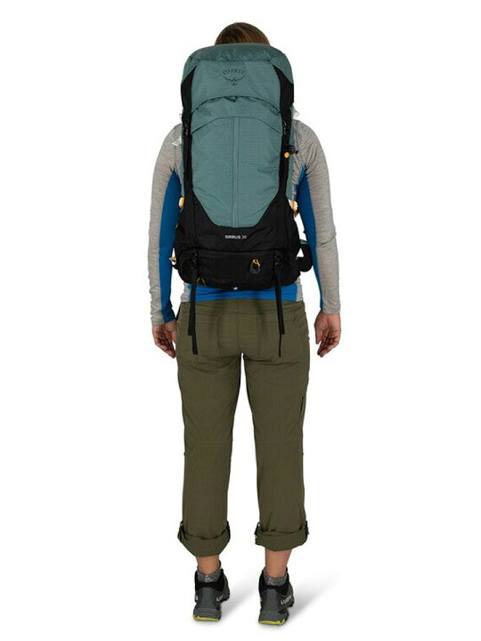 楽天市場】Osprey オスプレー SIRRUS 36 シラス 36 バックパック 