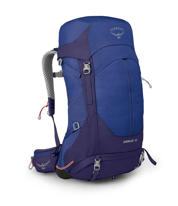 楽天市場】Osprey オスプレー SIRRUS 36 シラス 36 バックパック 