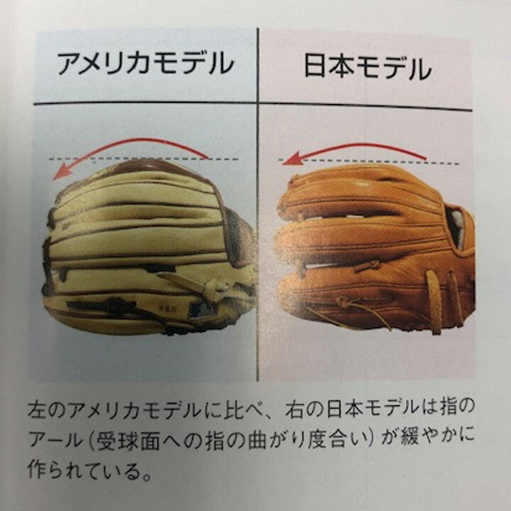 楽天市場】【フアン ソト 選手モデル】 2024 ウィルソン DUAL 野球 