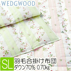  EFbWEbh H |ӂƂ |zc VOO sN 150×210cm 0.7kg WW7620 KA01251014 VO _EPbg t H | Hѕzc HтӂƂ