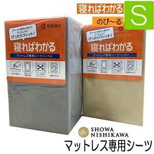 [.]a V[c VO Q΂킩 Lт V[c 22203-03451 SS bvV[c Xgb` NCbNV[c  97×195×8`10 cm O[ x[W 2FI {bNXV[c }bg