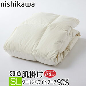 [T]  Hѕzc Hє|ӂƂ  { v~A W[ zCgO[X _E 90 lߕ 0.3kg VO O ̃Lg KE04355031 NP7050 AC{[ 150x210cm tbVA