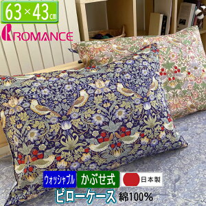 }X Jo[ s[P[X D_ { 100 Te EBAX 2842-5541 sN u[ 2FI Ԃ 28425541 63×43cm ECAX EBAX 