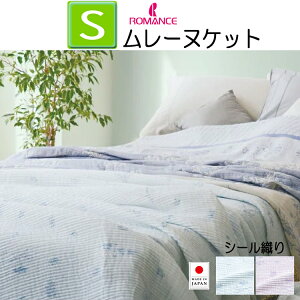 }X | Ċ| Pbg VO { ̕炵 K[[n V[D \/ 100 EHbVu 􂦂 54353100 V[D  DF 140×190cm 