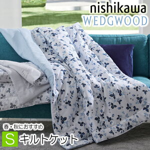  EFbWEbh ChXgx[ Pbg LgPbg VO WW5602  100 FE05103601 u[ | | 140×190cm WEDGWOOD  t  H wedgwood GAR΍