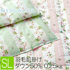  EFbWEbh Hє|zc | Hѕzc ėp EHbVu 􂦂 WW7620 VO O 150×210cm 0.25kg AA07100003 _EPbg EGbWEbh 