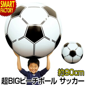 サッカーボール おもちゃ 外遊び 水遊びの人気商品 通販 価格比較 価格 Com