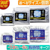 【本日限定!全品クーポン】 《選べるセット!》 保冷剤 最強 長時間 クーラーショック 《話題の最強保冷剤…