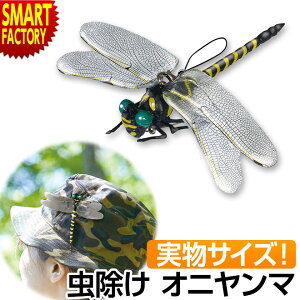  Ij} LbY xr[ sԂOK!t g{ ô AEghA o[xL[ Lv oR 悯 g Xgbv ނ K[fjO C hЃObY  v[