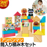 【15日限定!P6倍〜】 アンパンマン おもちゃ 《人気の大定番!》 積み木 ケース付き 天才脳筒入り 脳科学…