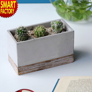 y30P6{`z v^[ Aؔ sȂ݌vt STCY  Zgv^[ A ϗtA SOW  A K[fjO  ` ؉ CeA   