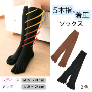 y5{w  _ǔʂzMELiܖ{w 5{wnC\bNX C \bNX ނݖh~ ނ݉ r nC\bNX)