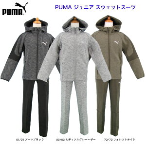 v[} PUMA WjA tWbv㉺X[c 585922/585924 39Vbv XcƓ̌ߌ2܂ł̂mœI