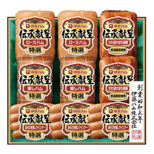 [][Ε] ɓn `Mtg (FSV-100)