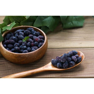 [][Ε] kCYⓀnXJbv (420004)