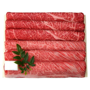 [][Ε] Oc{ јaĂEԂԗp (FRM-1)