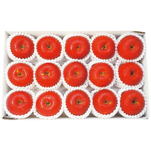 お歳暮 長野県産 信州サンふじ 約3.4kg