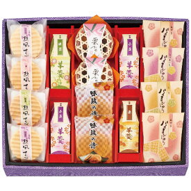 お歳暮 創菓 京づる 極庵 和菓子詰合せ DS-30 (DS-30)