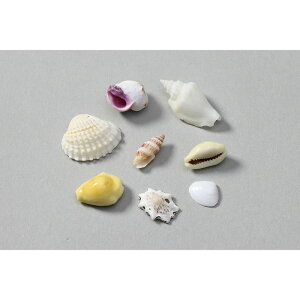 A[ebN ~bNXVF10g ܓ (047582)