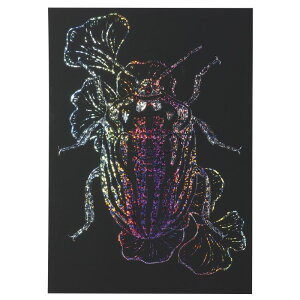 A[ebN zOXNb`{[h 150×200mm (012645) i