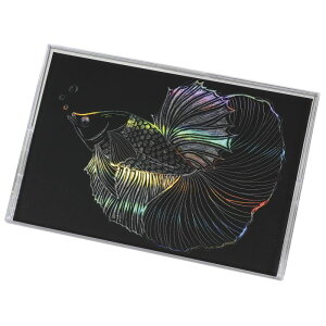 A[ebN zOXNb`{[hII ܂肽݃P[Xt (012654) i