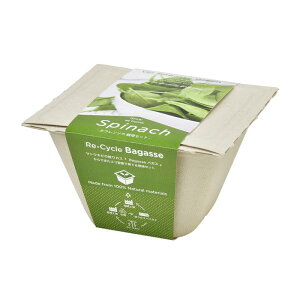 V| oKXO[ T_zE\E (093233)