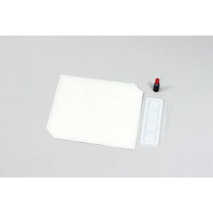 A[ebN nlZbg (020824)