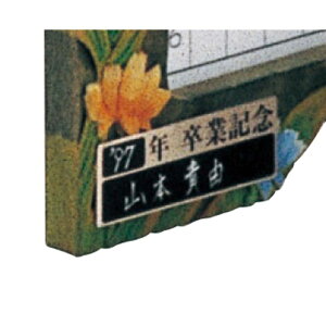 A[ebN ƋLOv[g(10g)A~ (047100)