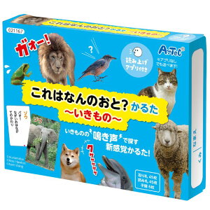 A[ebN ͂Ȃ̉?邽~~ (021167)