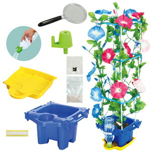 A[ebN ͔|Zbg (093153) i